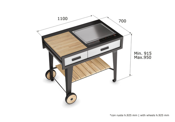 Airforce E-Cook 110cm BBQ Luxury Outdoor Cooking With a 58cm Teppanyaki Induction Hob - Devine Distribution Ltd